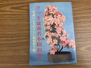 さつき盆栽若木樹形集　対話によるやさしい樹形作り付　月刊さつき研究別冊　/A103