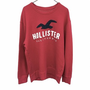 ホリスター HOLLISTER カットソー 裏毛 ロゴ刺繍 鳥のパッチ カモメ 長袖 丸首 プルオーバー 綿×ポリ S レッド 赤×紺×白 メンズ