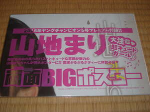 ヤングチャンピオン　別冊付録　山地まり　ビッグ　リバーシブルポスター