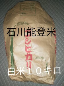 令和６年産　石川県産コシヒカリ　１０Kg　白米　能登米　精米　１０キロ　農家直送