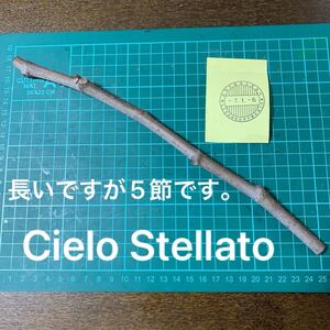 Cielo Stellato穂木　 いちじく穂木 イチジク穂木