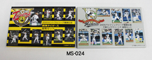 阪神タイガース優勝！ 2005年セントラルリーグ優勝 ミント貨幣セット/パリーグ優勝 千葉ロッテマリーンズ ミント貨幣セット/No.MS-024