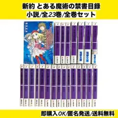 【全巻セット】 新約 とある魔術の禁書目録 1~22巻 リバース 小説