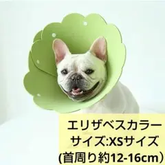 最終値下げ!! エリザベスカラーXSグリーン猫用犬用引っ掻き防止 去勢避妊手術