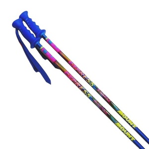 MOUNT アルミストック スキーポール EXPRESS WAVE BLUE/110cm