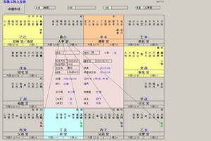 東洋占術シリーズ14 紫微斗数占星術２ 命盤 推命占断 ソフト