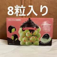 チョコがかかった シャインマスカットボンボン ラウンドワン限定品　1箱