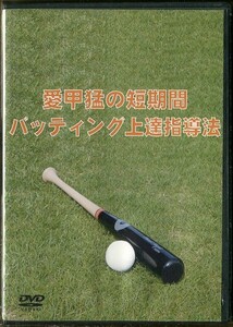 #3001 中古DVD 愛甲猛の短期間バッティング上達指導法