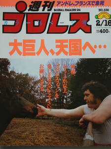 週刊プロレス1993年2月16日号　アンドレ・ザ・ジャイアント追悼グラフ