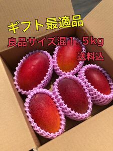 鹿児島県産完熟マンゴー　サイズ混1.5kg白箱SMLサイズ