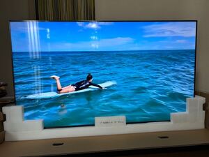 引取のみ　　モニター　65 BRAVIA