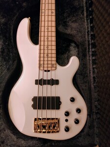 ESP ALBION　ラルク　tetsuya 