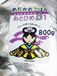 めだかのごはん　おとひめB1 800g リパック品　グッピー 熱帯魚 めだか