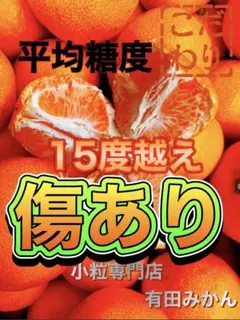 糖度15度越え　プレミアムみかんキング　傷あり旬味有田みかん　宮川早生 　2Kg