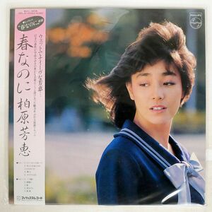 帯付き 柏原芳恵/春なのに/PHILIPS 28PL50 LP