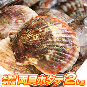 【北海道産】ホタテ 2kg | 宗谷地方 8～12枚前後 冷凍 両貝ホタテ 帆立 殻付きホタテ 貝付きホタテ 北海道産帆立 敬老の日 敬老ギフト