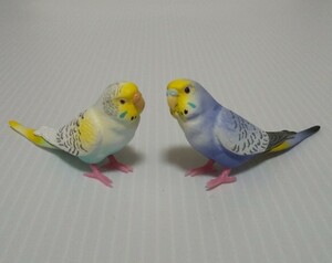 「セキセイインコ (青)」「セキセイインコ (白)」　手のりインココレクション ～ニューフェイス登場～　（中古）　シャイング