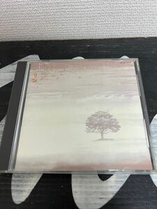 ※マトリックス 1A1 TO【旧規格32VD1033JPN国内オリジナルCD】GENESIS WIND AND WUTHERING ジェネシス 静寂の嵐 国内盤