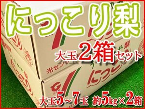 【Good】すぐ発送！！栃木県産 高級梨『にっこり』超大玉5～7玉約5kg×2箱セット