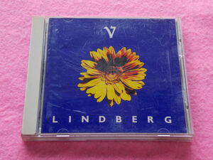 CD／LINDBERG／LINDBERG V／リンドバーグ／リンドバーグ 5