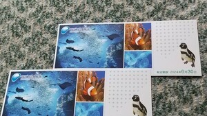 新江ノ島水族館　ご招待券　２枚　有効期限２０２４年６月３０日まで　【送料無料】