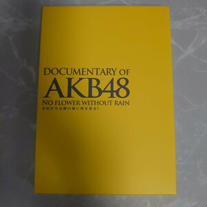 Blu-ray DOCUMENTARY of AKB48 NO FLOWER WITHOUT RAIN 少女たちは涙の後に何を見る？ AKB48 中古品 2211