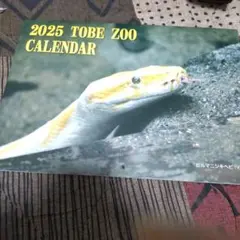 2025 TOBE ZOO CALENDAR