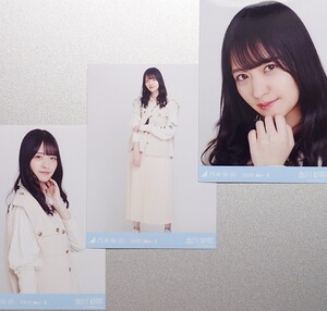 金川 紗耶『エクリュ』(2020.May-Ⅱ) 乃木坂46 生写真3枚コンプ