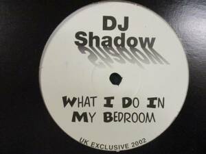 DJ Shadow ： What I Do In My Bedroom 12