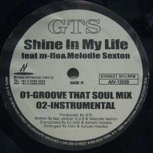 12inch/ GTS Feat. Melodie Sexton Shine In My Life [I118]