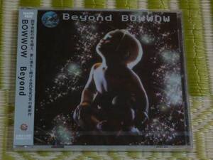 BOW WOW Beyond (新品) / バウワウ 山本 恭二 VOW WOW　