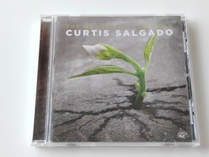 Curtis Salgado / The Beautiful Lowdown CD ALLIGATOR CHICAGO ALCD4970 カーティス・サルゲイド,16年作,ブルースハーモニカ,BLUES SINGER