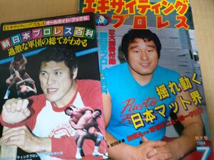 別冊エキサイティングプロレス 別冊ガイドブック＆カセットレーベル付き1984.7/藤波辰爾/ライオネス飛鳥/長与千種/ハルクホーガン/B3234251