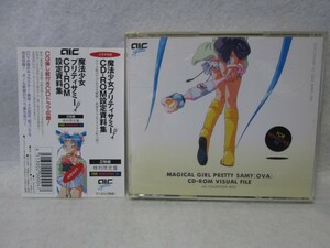 特別限定盤　OVA 魔法少女プリティーサミー CD-ROM 設定資料集　ドラマCD　Windows 95