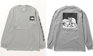 ■新品/タグ付き■THE NORTH FACE/ザ・ノース・フェイス L/S SLV GRAPHIC TEE ロンＴ長袖Tシャツ XXL■グレーバックプリント スリーブロゴ