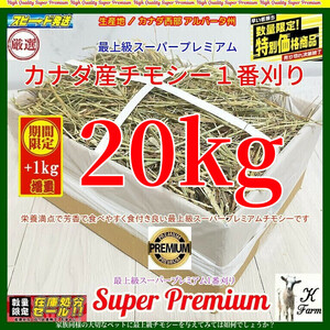 【6/16まで限定】 カナダ産 チモシー 20+1kg スーパープレミアム （１番刈）/最上質アルバータ産 /US産より高価なカナダ産を数量限定で放出