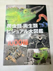 爬虫類・両生類　ビジュアル大図鑑　1000種　2009年発行　送料520円　【a-5143】