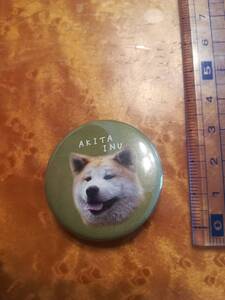 美品 AKITA INU カンバッジ②