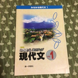 みるみる実力アップ　現代文1　【未使用】