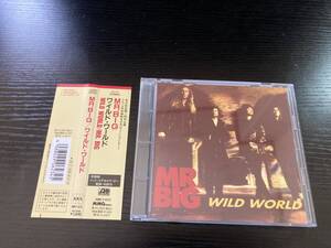 Mr. Big Wild World 国内盤CD