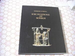 インド洋書 Excavations at Sonkh : 2500 years of a town in Mathura district ソンクの発掘調査：マトゥラー県の町の2500年 D25