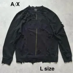 ダメージ古着　ボロスウェット　L A/X グランジ　クラッシュ