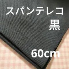 スパンテレコ　黒　60cm③