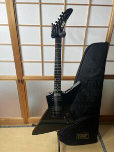 ESP エクスプローラー　MX250 explorer メタリカ　