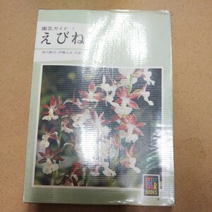 カラーブックス349「えびね 園芸ガイド1」唐沢耕司・伊藤五彦