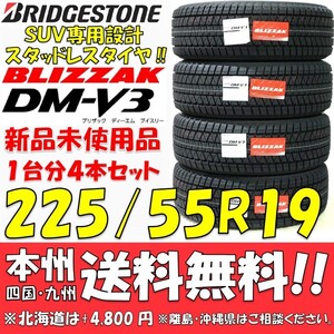 225/55R19 99Q ブリヂストン ブリザックDM-V3 2022年製 新品4本セット 即決価格◎送料無料 国産スタッドレスタイヤ 日本製 日本国内正規品