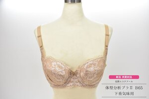 未使用 新品 B65 ブラウン 北陸エステアール 下垂気味用 体型分析ブラ II [補正下着][日本製][通販生活][体型補正][ブラジャー]