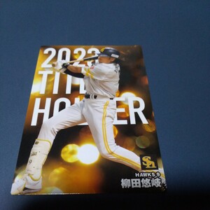 プロ野球チップス2024タイトルホルダーカード