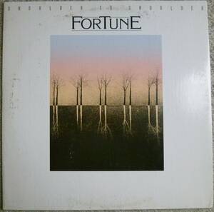 激レア!!!絶品ローカル系Light Mellow良質盤!!!【試聴!!!】Fortune『Shoulder To Shoulder』LP AOR SSW オルガンバー サバービア