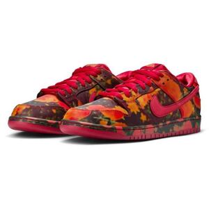 The Wizard of Oz Nike SB Dunk Low Poppy Fieldオズの魔法使い ナイキ SB ダンク ロー ポピーフィールド 24cm